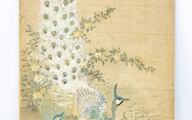 Antique Chinese Signed Peacock Watercolor Painting