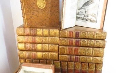 Buffon (George Louis Leclerc de) / Jacques de Sève - Histoire naturelle (quadrupèdes & oiseaux). 812 planches - 1749-1783