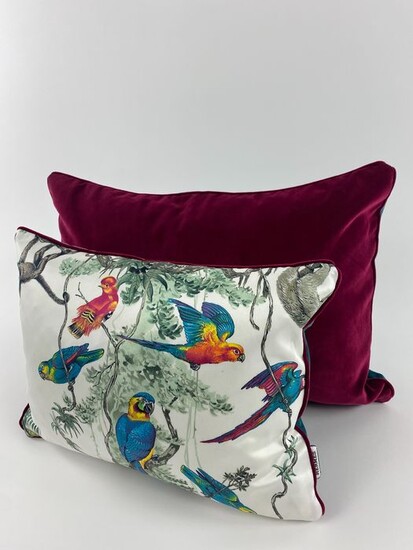 Cuscini realizzati con tessuto Hermès “ Equateur Imprimè Zenit “ - Cushion (2)