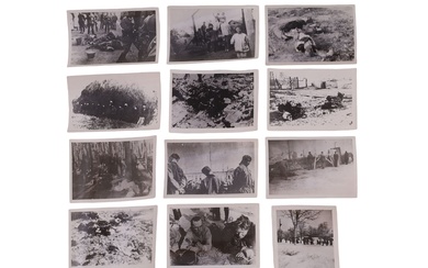 Douze photographies en noir et blanc de cadavres, d'exécutions et d'autres victimes des persécutions nazies....