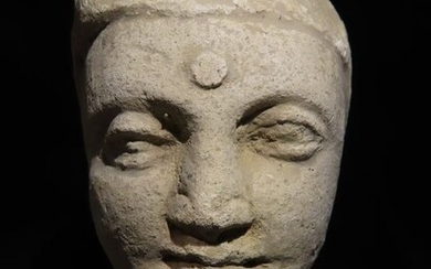 Gandhara Stucco Big nice Head of Buddha. 19,5 cm H. Extremely fine quality. Nice.