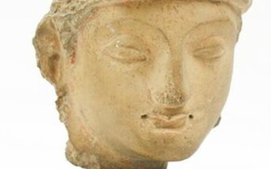 Gandhara Stucco Head of an Attendant