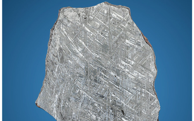 Gibeon Meteorite Slice Iron, IVA Great Nama Land, Namibia...
