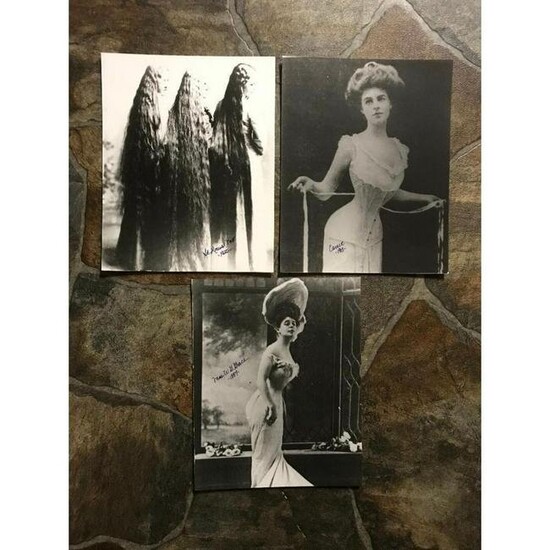 Group of Victorian and Edwardian Ladies Photo Prints