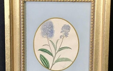 Hand Painted Floral Miniature Artwork
