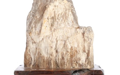 Large natural petrified wood scholar's rock viewing stone specimen. 15 1/2"H x 12"W x 10"D