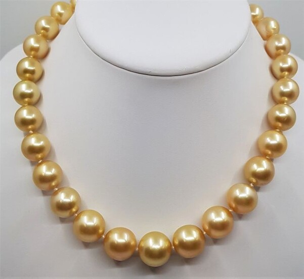 NO RESERVE PRICE - 18 kt. Yellow Gold - Large 12x16mm Round Golden South Sea Pearls - Necklace