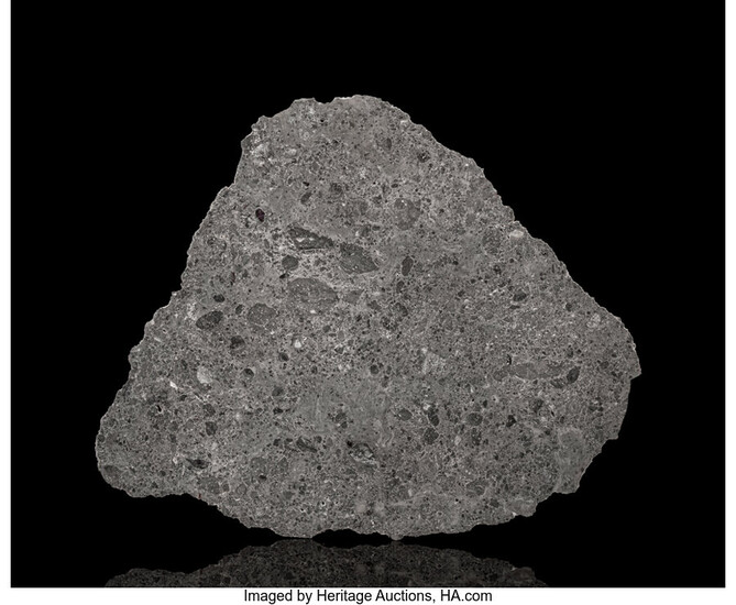 NWA 14729 Lunar Meteorite Slice Lunar (melt breccia) Northwest...