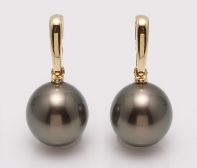 No Reserve Price - 14 kt. Yellow Gold - 10x11mm Peacock Tahitian Pearl Drops - Earrings