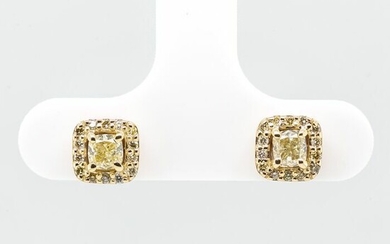 No Reserve Price - 14 kt. Yellow gold - Earrings - 0.65 ct Diamond