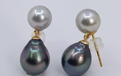 No Reserve Price - 8.5x9.5mm Tahitian and Akoya Pearls - Earrings Yellow gold