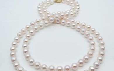No Reserve Price - Akoya Pearls, Round, Premium 7 -7.5 mm - Necklace, Double-2-Strand - 14 kt. Yellow gold - Necklace