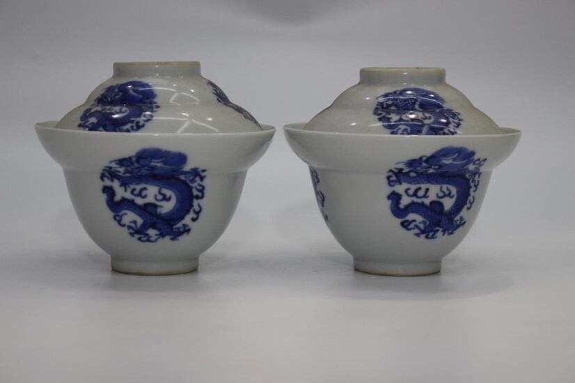 Pair of Chinese Blue and White Porcelain Cups,Mark
