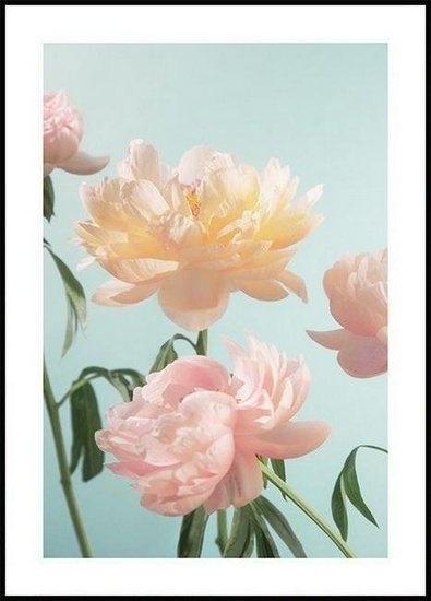 Pastel Spring Flowers Poster