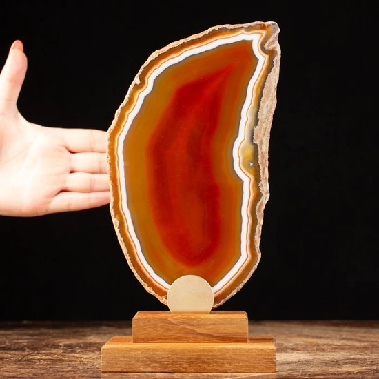 Red Passion Flame - Extremely rare on the Market Slice of Natural red Agate - White Banded - 260×138×80 mm - 632 g