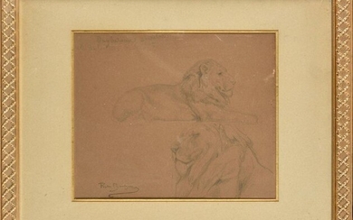Rosa BONHEUR (1822-1899) Etude de lions Crayon...
