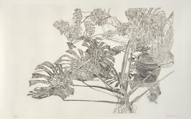 Sam SZAFRAN (1934 - 2019) Philodendrons (gris) - 1996 Aquatinte en couleursAquatinte en couleurs