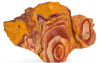 Sandstone Agate Slab Kanab, Utah, USA 9.06 x 5.71...