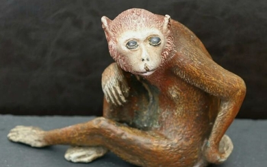 Sculpture, a large Austrian seated Monkey - Bronze (cold painted) - First half 20th century