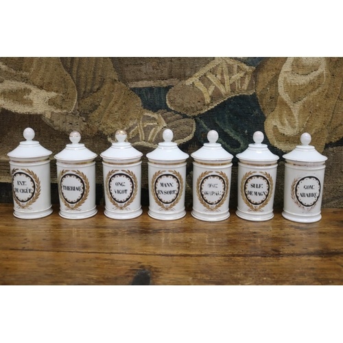 Set of seven French porcelain chemist bottles, each painted ...
