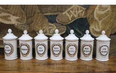 Set of seven French porcelain chemist bottles, each painted ...
