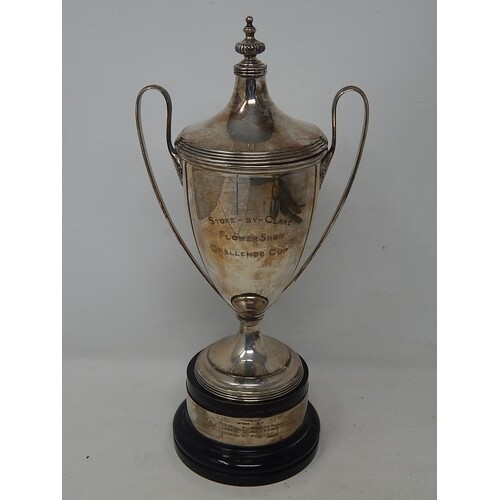 Silver Trophy Cup & Lid on Stand: Hallmarked London 1921 by ...