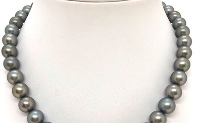 Tahitian cultured Pearls - 925 Silver - Necklace