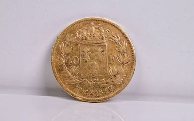 Une pièce de 40 Francs or Louis XVIII 1818. Poids : 12,69 g.