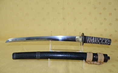 Wakizashi - Tamahagane - Antique Japanese sword (shinogi-zukuri wakizashi) in koshirae and shirasaya - Japan - Edo Period (1600-1868)