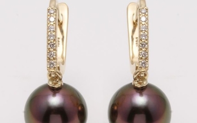 no reserve - 14 kt. Yellow Gold - 9x10mm Round Peacock Tahitian Pearls - Earrings - 0.11 ct