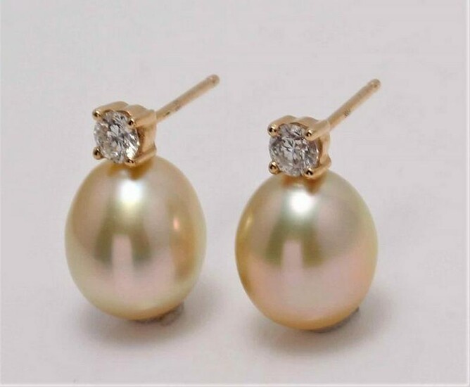 14 kt. Yellow Gold - 8x9mm Golden South Sea Pearl Drops