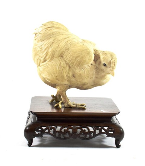 A Japanese Ivory Model of a Chicken, Meiji period, naturalistically modelled standing on a hardwood
