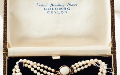 A TRIPLE STRAND OF CULTURED PEARLS FROM CEYLON TO A SOLID OPAL CLASP IN 9CT GOLD, SHORTEST STRAND 37CMS, BOXED