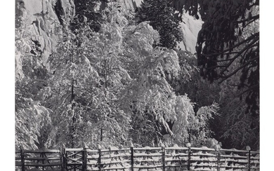 ANSEL ADAMS (1902–1984), Trees and Fence, Winter, Yosemite National Park, California, c. 1940