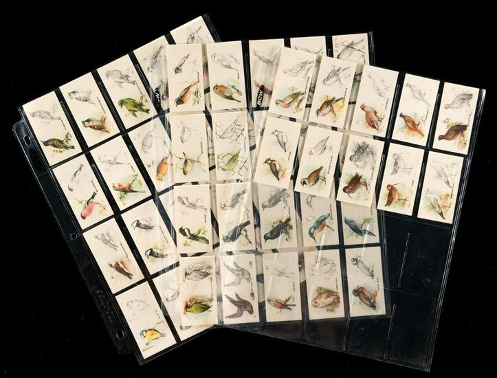 Bird Paintings Cigarette Cards