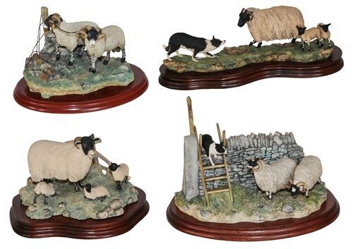* Border Fine Arts Sheep Groups Comprising: 'Element of Surprise'...