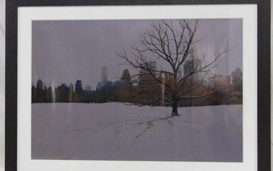 Lithograph of a Snowy Central Park New York