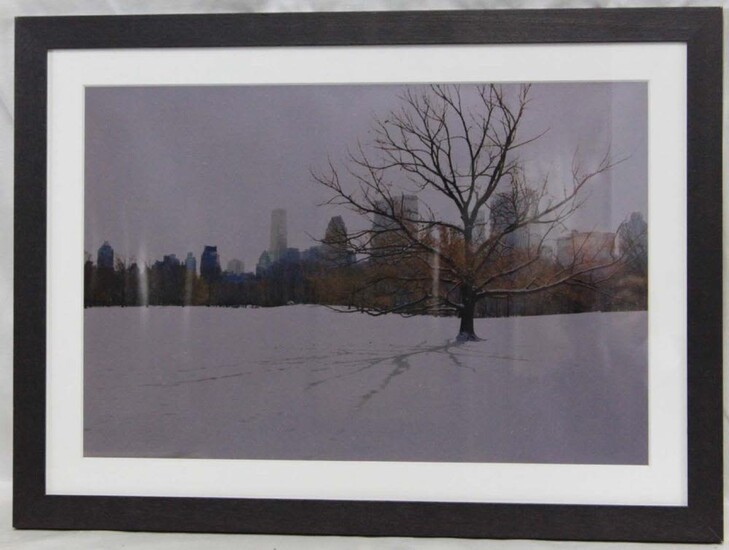Lithograph of a Snowy Central Park New York