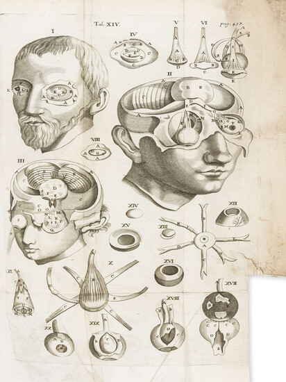 Medicine.- Diemerbroeck (Isbrand de) The Anatomy of Human Bodies... to which is added a particular treatise of the small-pox & measles, second edition in English, 1694.