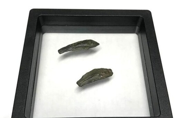 Pair of Ancient Greek Dolphin Bronze Coins, Artifacts