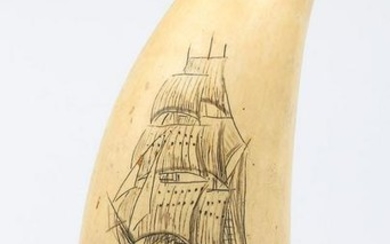 Scrimshaw whale tooth depicting ship