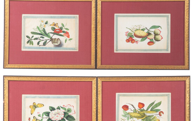 Set of Four Chinese Export Botanical Gouaches