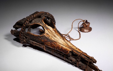 Un rare et très ancien « objet » de divination, constitué d’un crâne de crocodile...