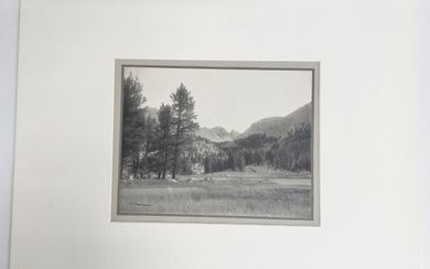 William Dassonville In The Sierra Valley Mountain Photo