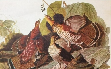 c1946 Audubon Print, #41 Ruffed Grouse