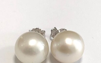 18 kt. White gold - Earrings Australian natural salt water cultured pearls