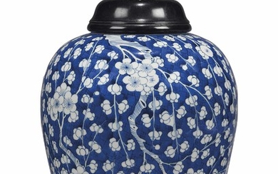 A CHINESE BLUE AND WHITE OVIFORM JAR, KANGXI PERIOD (1662-1722)