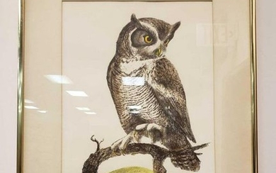 Signed Framed Harold McIntosh Owl Lithograph