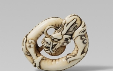 An ivory netsuke of a coiled dragon. Mid-19th century
