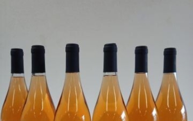 6 bouteilles de Domaine Fabrice Garnier.... - Lot 25 - Enchères Maisons-Laffitte